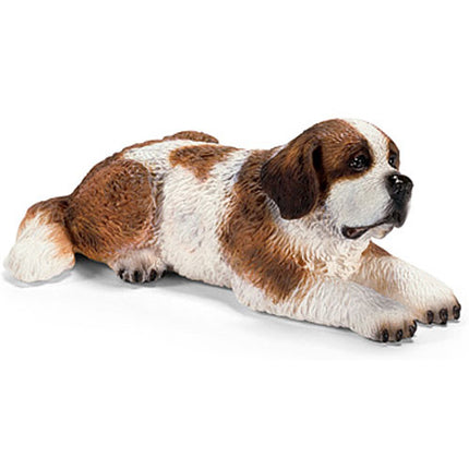 St. Bernard, Female