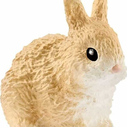Rabbit Hutch