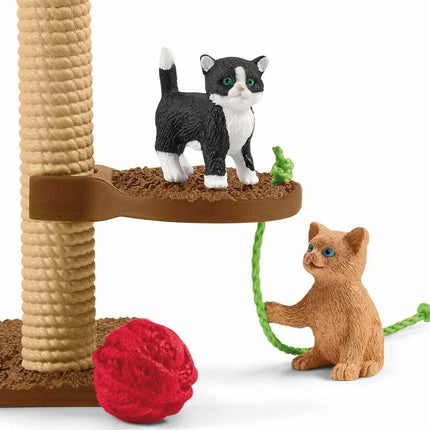Playtime for Cute Cats