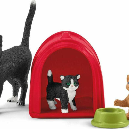 Playtime for Cute Cats