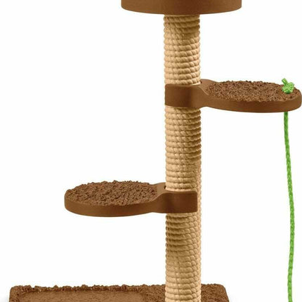 Playtime for Cute Cats