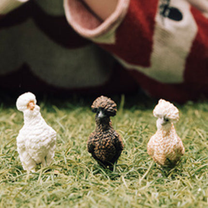 Chicken Friends