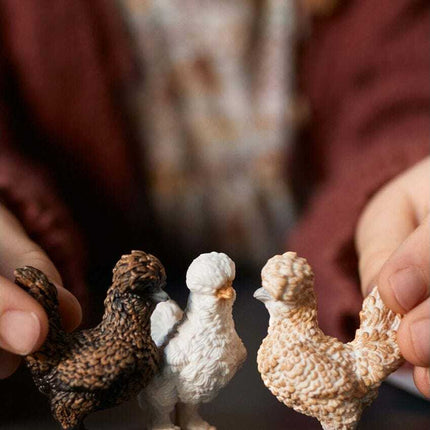 Chicken Friends