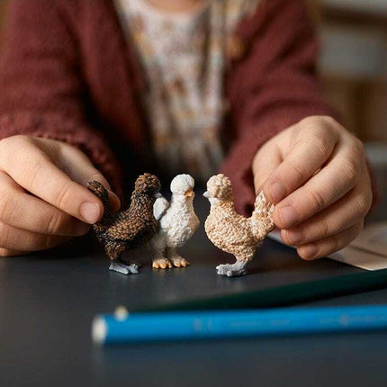 Chicken Friends