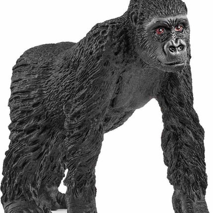 Gorilla Family