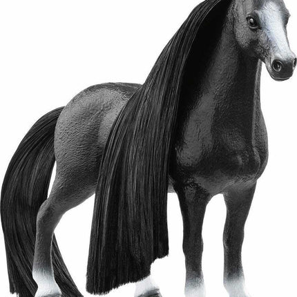 Beauty Horse Quarter Horse Mare