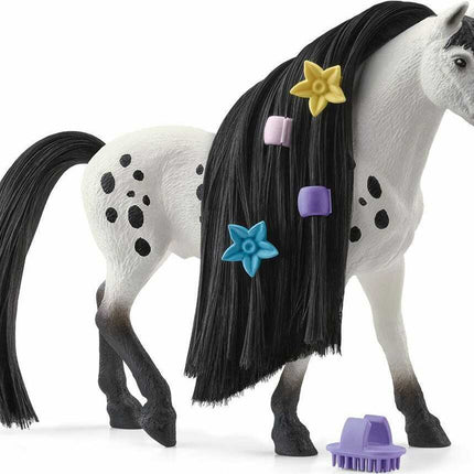 Beauty Horse Knabstrupper Stallion