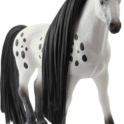 Beauty Horse Knabstrupper Stallion