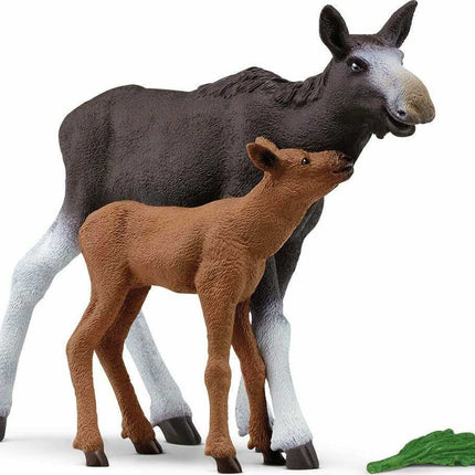 Moose Calf