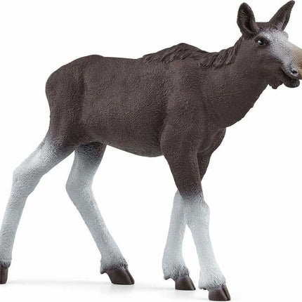 Moose Calf