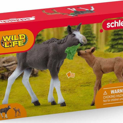 Moose Calf