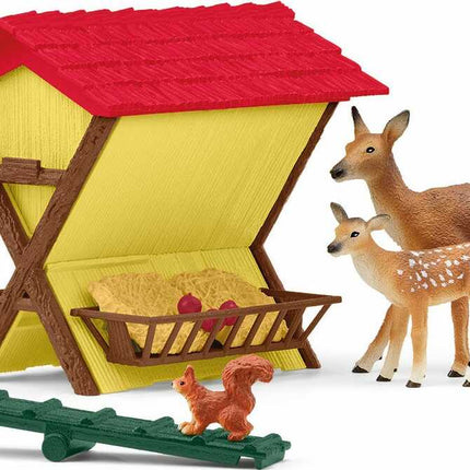 Feeding The Forest Animals