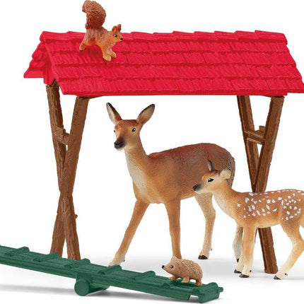 Feeding The Forest Animals