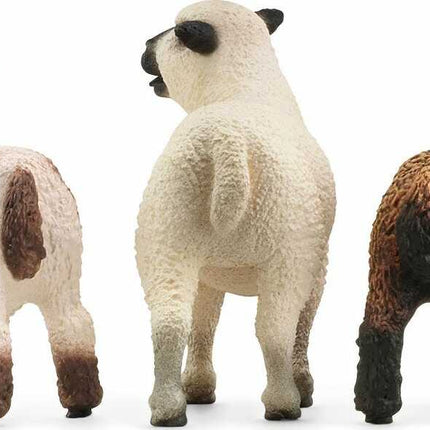Sheep Friends
