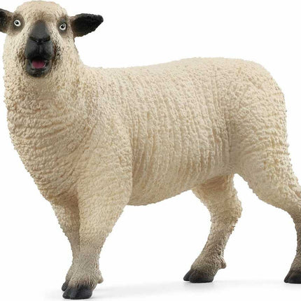 Sheep Friends