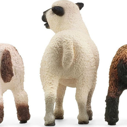 Sheep Friends