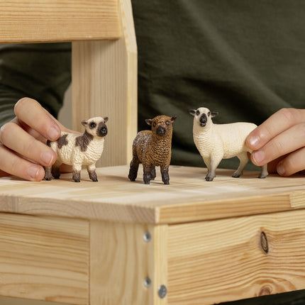 Sheep Friends