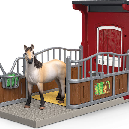 Ponybox with Mustang mare