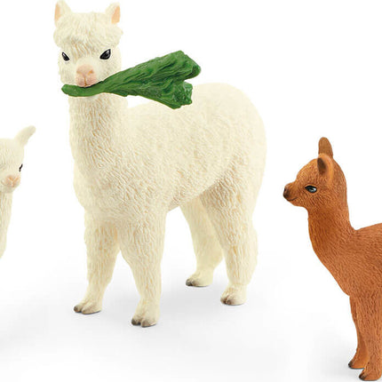schleich WILD LIFE Alpaca Set