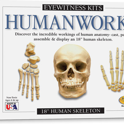 Humanworks Casting Kit