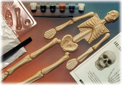 Humanworks Casting Kit