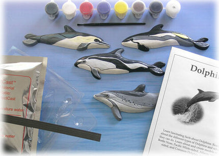 Dophin Casting Kit
