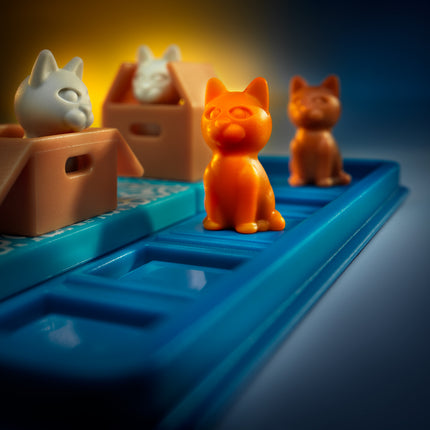 Cats & Boxes