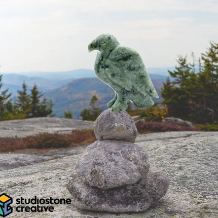 Eagle Soapstone Carving Kit
