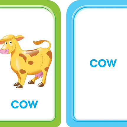 Picture Words Flash Cards