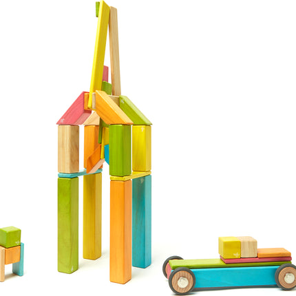 Tegu Classics: 42-Piece Set Magnetic Wooden Blocks (TINTS)