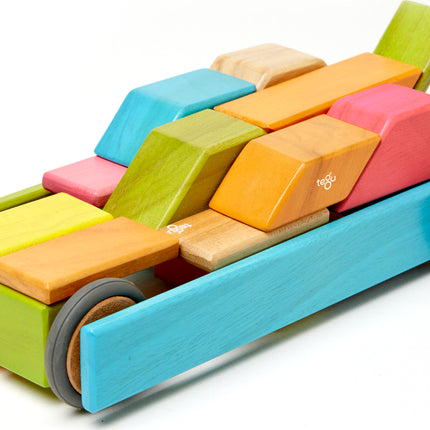 Tegu Classics: 42-Piece Set Magnetic Wooden Blocks (TINTS)