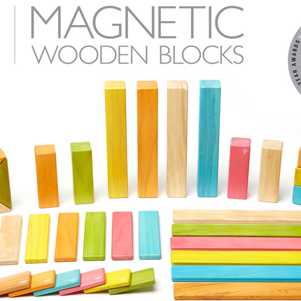 Tegu Classics: 42-Piece Set Magnetic Wooden Blocks (TINTS)