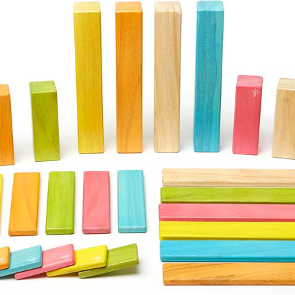 Tegu Classics: 42-Piece Set Magnetic Wooden Blocks (TINTS)