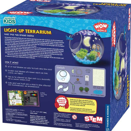 Light-Up Terrarium