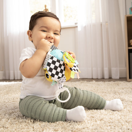 Buzzy The Bee Clip And Go