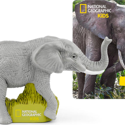 National Geographic Kids: Elephants Tonie