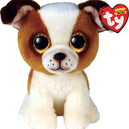 Hugo, Brown and White Dog