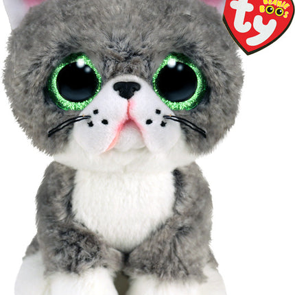 Fergus Gray Cat
