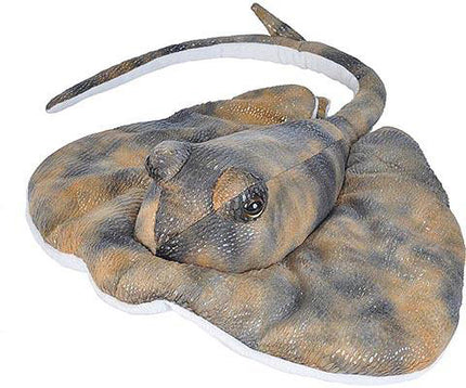 Southern Ray Stuffed Animal - 15"