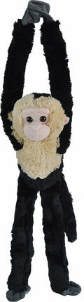 Hanging Capuchin - 20"