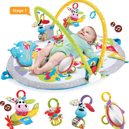 Gymotion Lay to Sit-Up Play