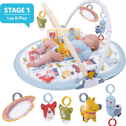 Urban Gymotion Lay to Sit Up Play