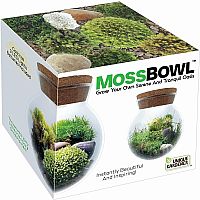 Moss Bowl Terrarium