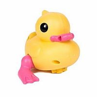 Wind Up Duck