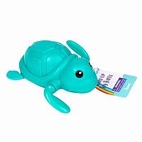 Wind Up Turtle