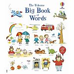 The Usborne Big Book of Words 