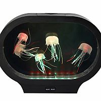 Jel.l.yzen Oval Jellyfish Sensory Lamp 