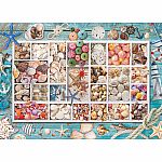 Seashell Collection - Eurographics  