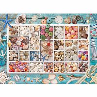 Seashell Collection - Eurographics  