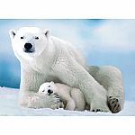 Polar Bear and Baby - Eurographics.